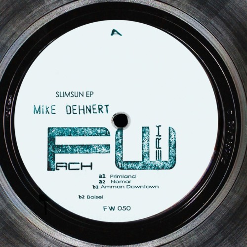 00-mike-dehnert-slimsun-ep-fw050-web-2026-cover.jpg