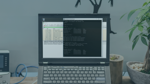 681347870_yxusj-cf2527koin48.png