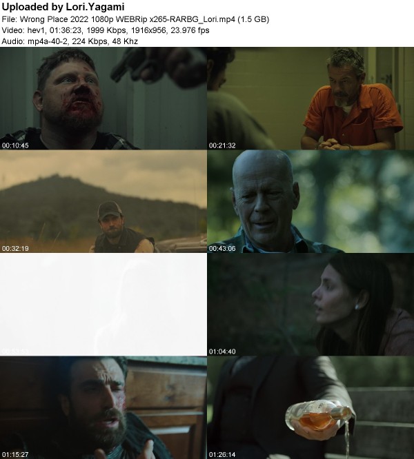 362440676_wrong-place-2022-1080p-webrip-x265-rarbg_lori.jpg