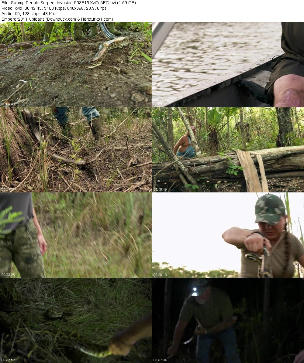 348545575_v16i5ddcbc4v.jpg