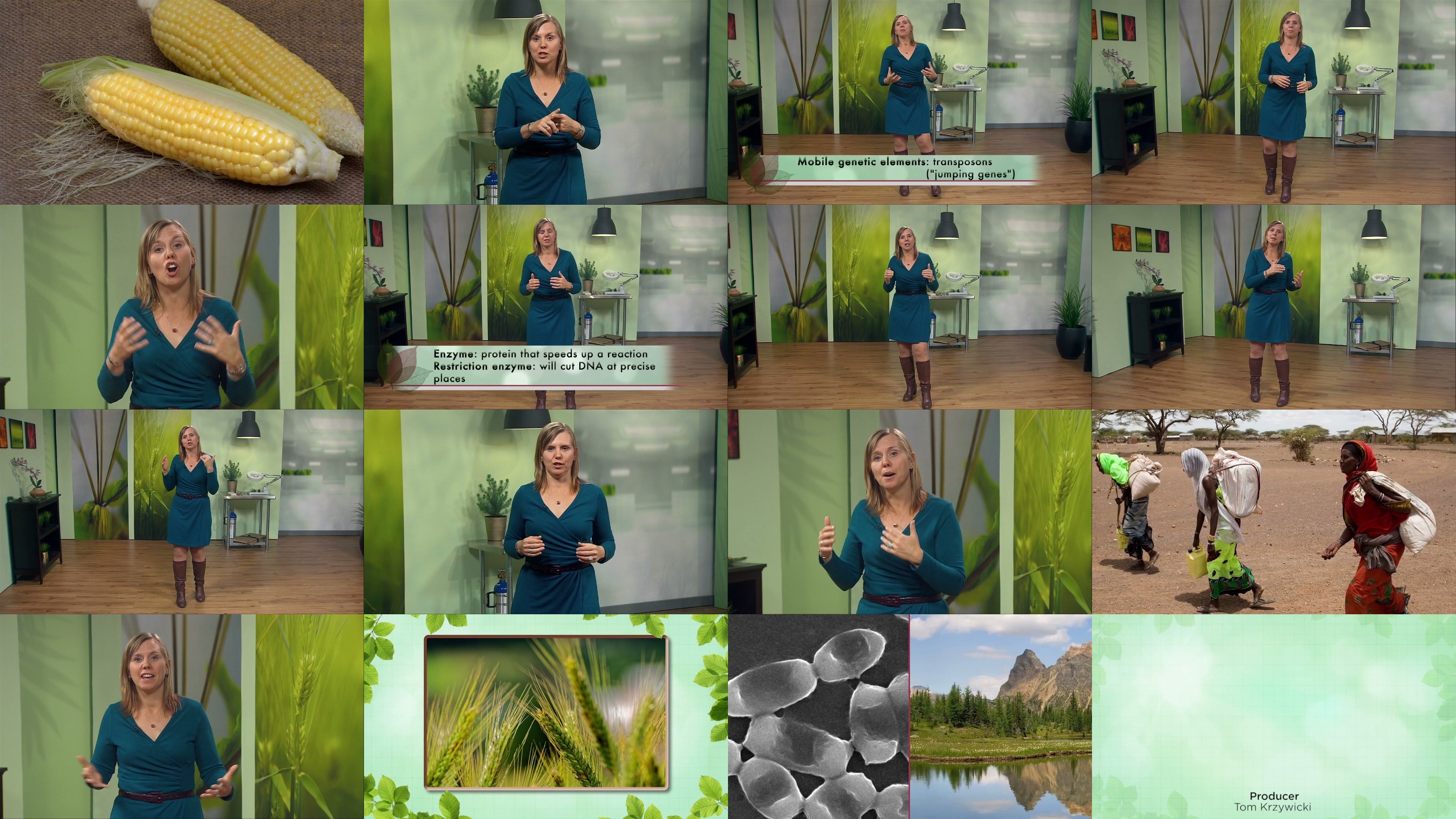 4AnfvPbt_o.jpg