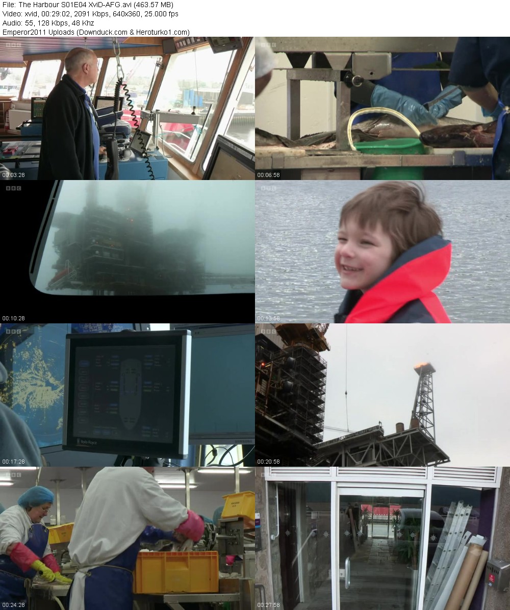 357099354_75ike7mpvb3x.jpg