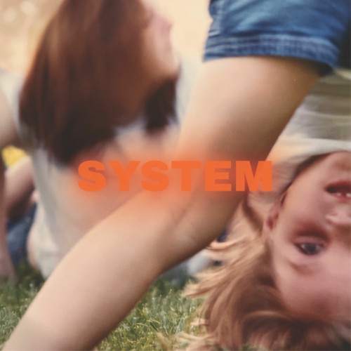 Prewn-System.jpg