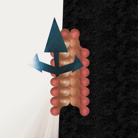 Wata-Igarashi-And-Polygonia-Cross-Passage-RYCL024-WEB-2025-WAV.jpg