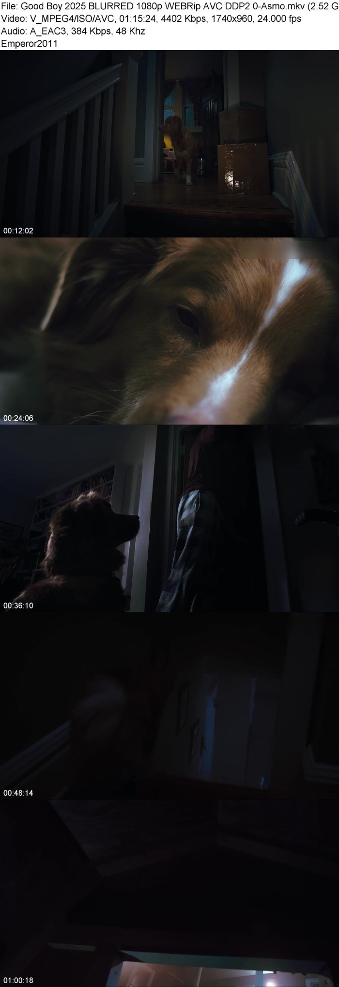 kvxuqy9r_o.jpg