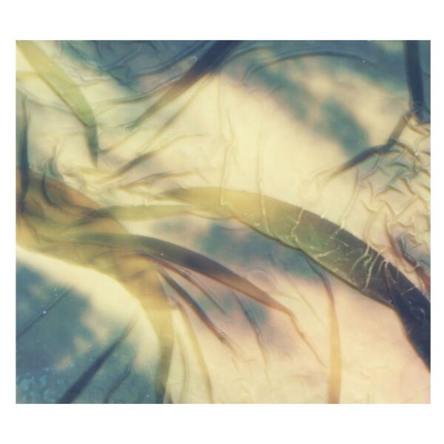 00-deadbeat-kansai-botanicals-qd45-24bit-web-flac-2026.jpg