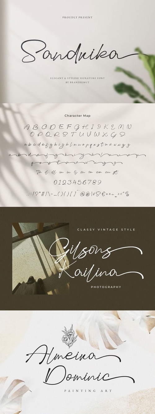 595044039_collage.jpg