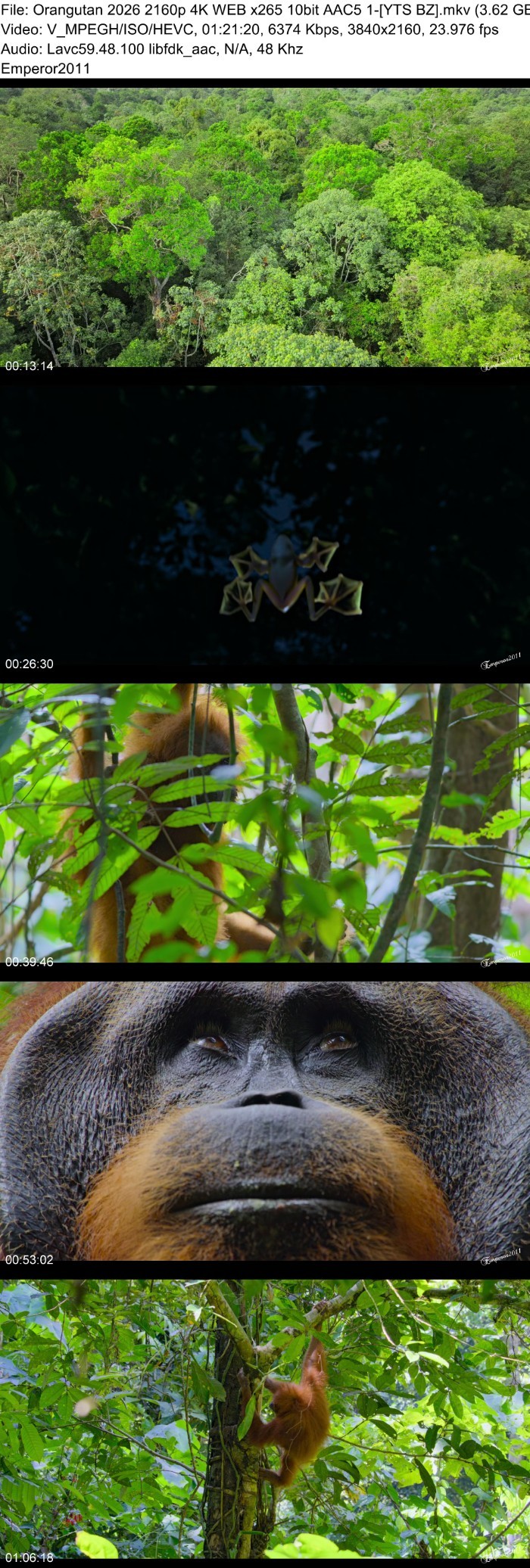 4GwSrBPr_o.jpg