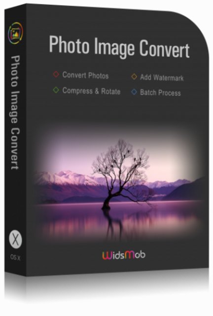 Wids-Mob-Image-Convert-2021.jpg