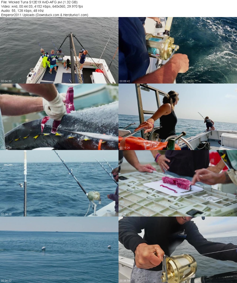 363370035_wo7ijfah6e08.jpg