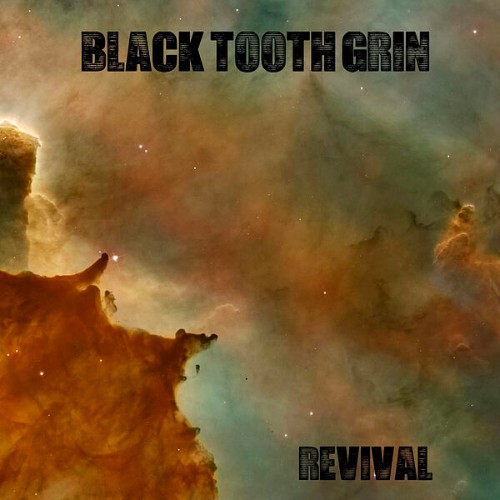 Black-Tooth-Grin-Revival-24BIT-44KHZ-WEB-FLAC-2025-OBZEN.jpg