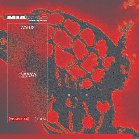 Wallis-AWAY-MIAMAO008-WEB-2025-WAV.jpg