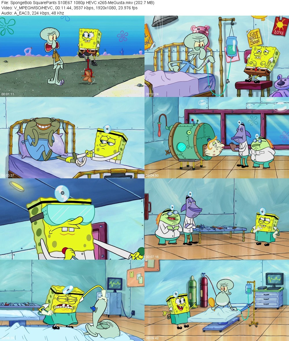 ijQgL0J2_o.jpg
