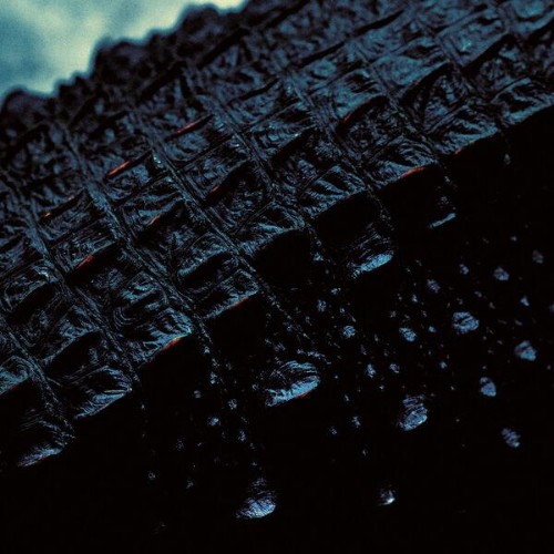 Wage-War-IT-CALLS-ME-BY-NAME-EP-24BIT-WEB-FLAC-2026-ENTi-TLED.jpg