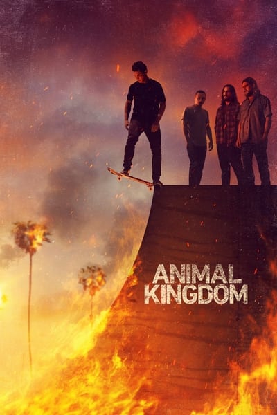 320354785_animal-kingdom-us-s06e09-720p-hevc-x265-megusta.jpg