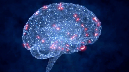 d1d211a6-0e26-41b2-a76d-df80fd3f9ede.png