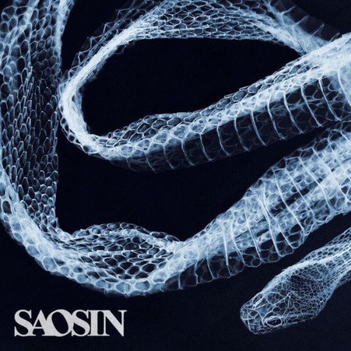 Saosin-Starting-Over-Again-SINGLE-WEB-2026-ENVi-ED.jpg