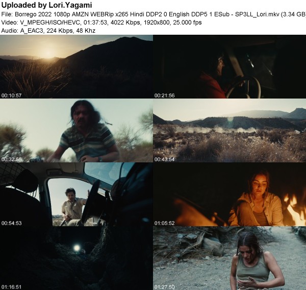 348354944_borrego_2022_1080p_amzn_webrip_x265_sp3ll_lori.jpg