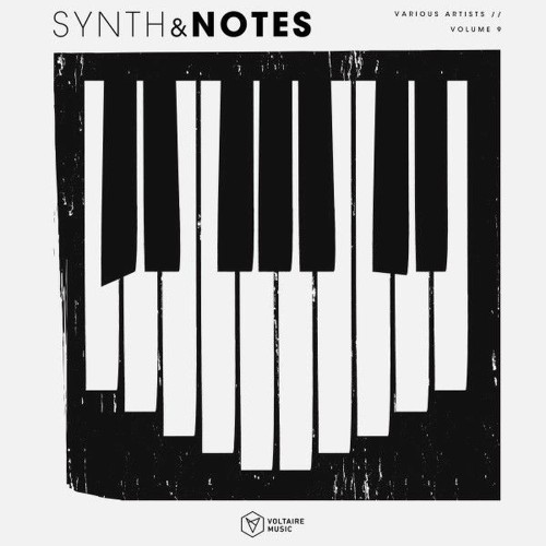 Synths-Notes-Vol-9.jpg