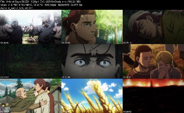 329055024_vinland-saga-s02e01-1080p-hevc-x265-megusta.jpg