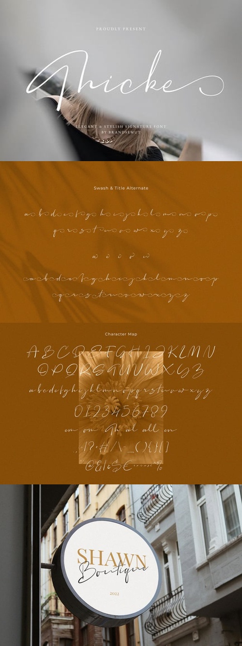 595044069_collage.jpg