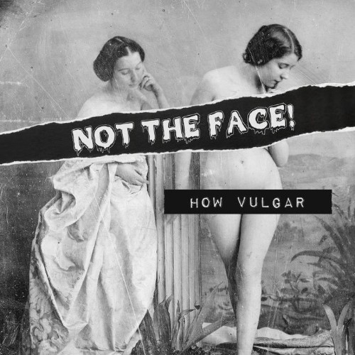 Not-The-Face-How-Vulgar-WEB-2026-SDR.jpg