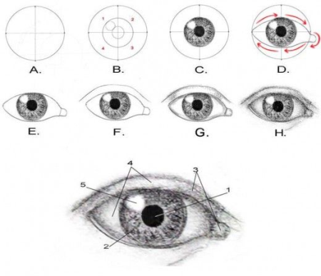 979c44eb-f381-4b6b-9db1-3a2d79cb04c7.png