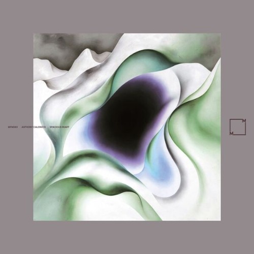 00-anthony-calonico-spacious-heart-mfm083-24bit-web-flac-2026.jpg