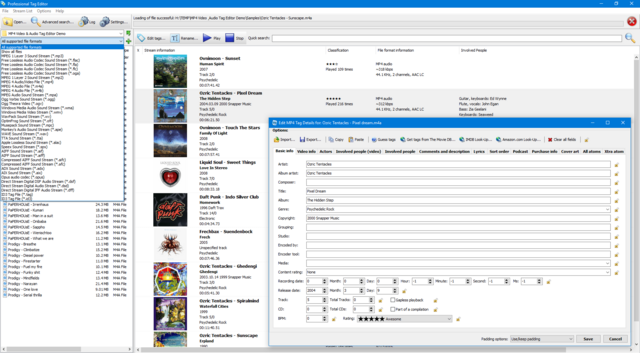 3delite-Professional-Tag-Editor-screen.png