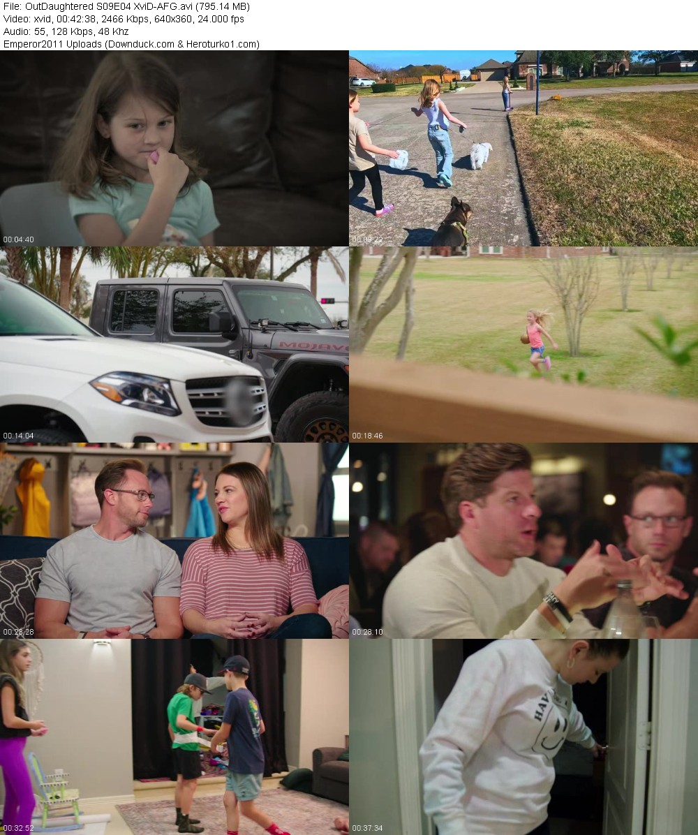 371236755_todsj8l2wx55.jpg