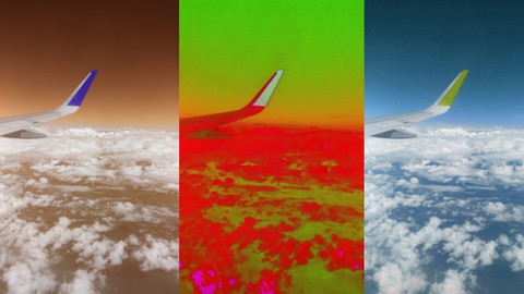 4909666-7fd6.jpg