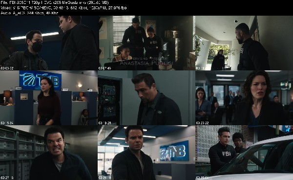 329304393_fbi-s05e11-720p-hevc-x265-megusta.jpg