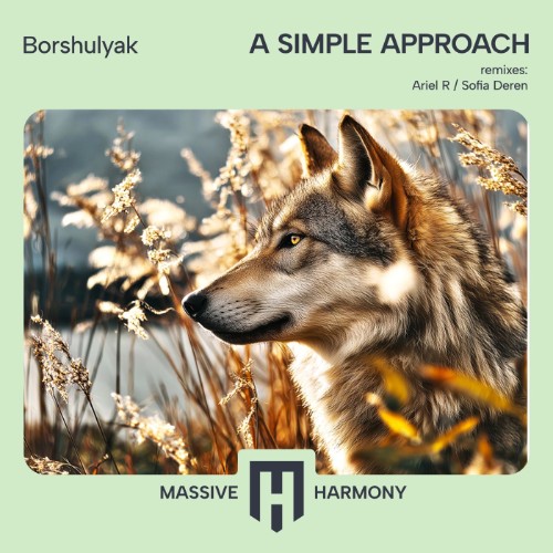 00-borshulyak-a-simple-approach-mhr681-web-2026-cover.jpg