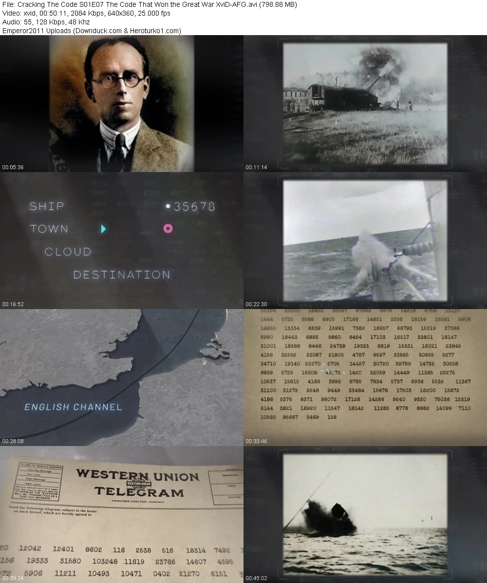 330947513_qytv578tvq7m.jpg
