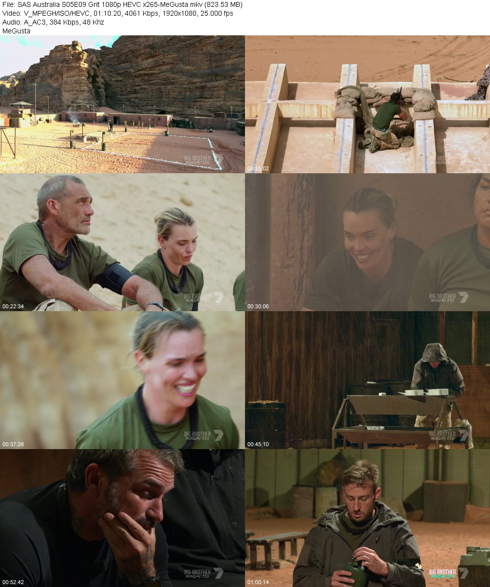 395913849_sas-australia-s05e09-grit-1080p-hevc-x265-megusta.jpg