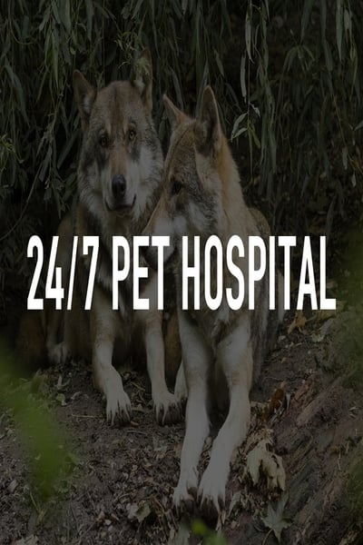 337179262_ep5ct2kv51kl.jpg