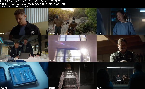 329731566_csi-vegas-s02e11-1080p-hevc-x265-megusta.jpg