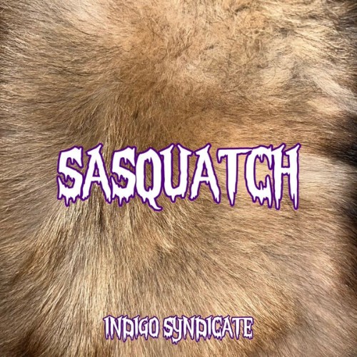 Indigo-Syndicate-Sasquatch-24BIT-96KHZ-WEB-FLAC-2026-OBZEN.jpg