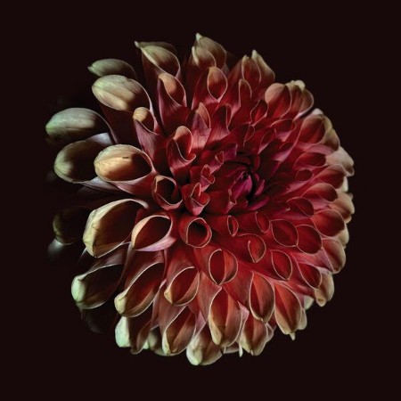 Jessica-Moss-Unfolding-24BIT-WEB-FLAC-2025-ENRi-CH.jpg