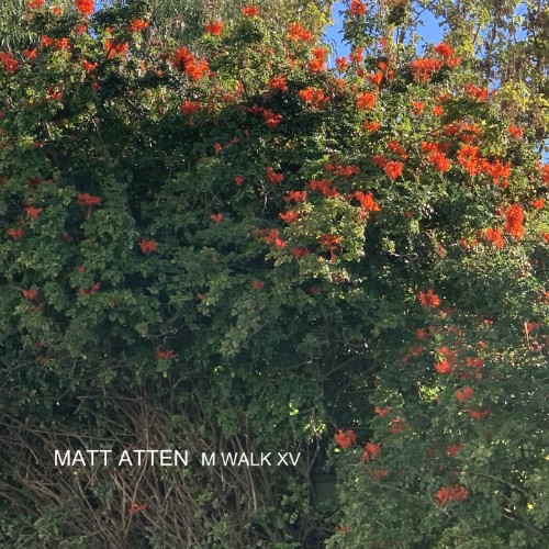 00-matt-atten-m-walk-xv-cat885343-web-2026-cover.jpg