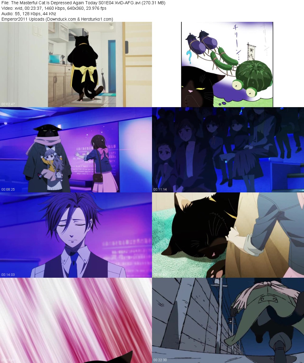 374627667_lix13qj64uni.jpg