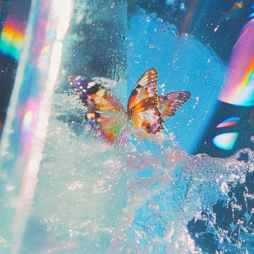 Daphni-Butterfly-24BIT-WEB-FLAC-2026-ENRi-CH.jpg