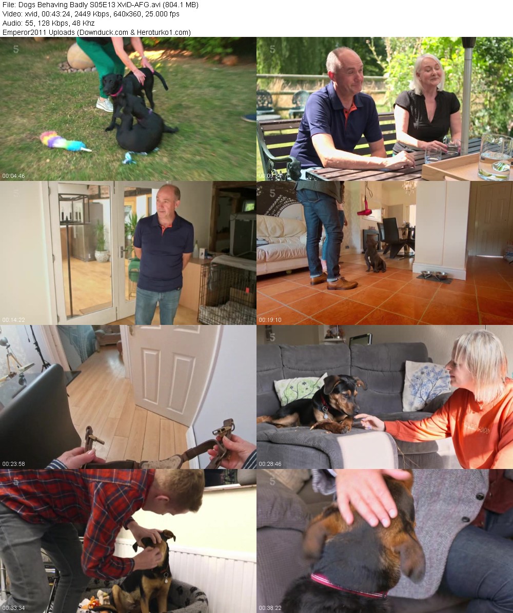 344284116_04bxn20tyvqn.jpg