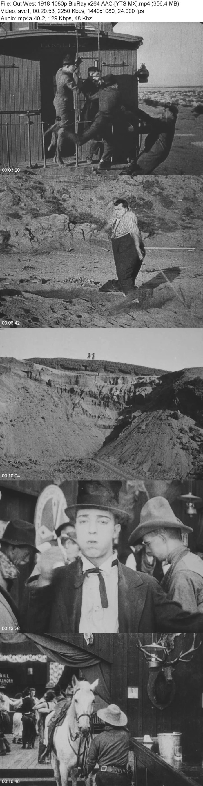 WyzZw77P_o.jpg