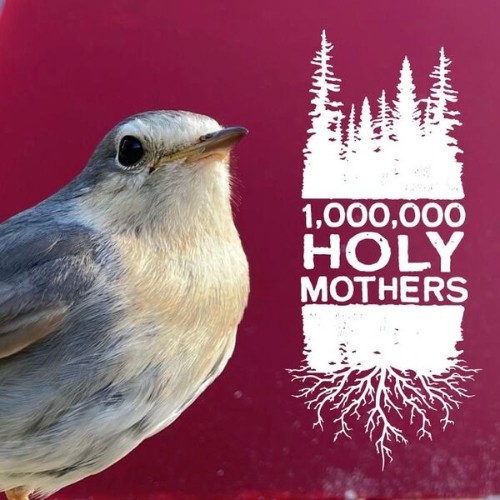 1-000-000-Holy-Mothers-ABERRANT-EP-24BIT-WEB-FLAC-2026-STONERD.jpg