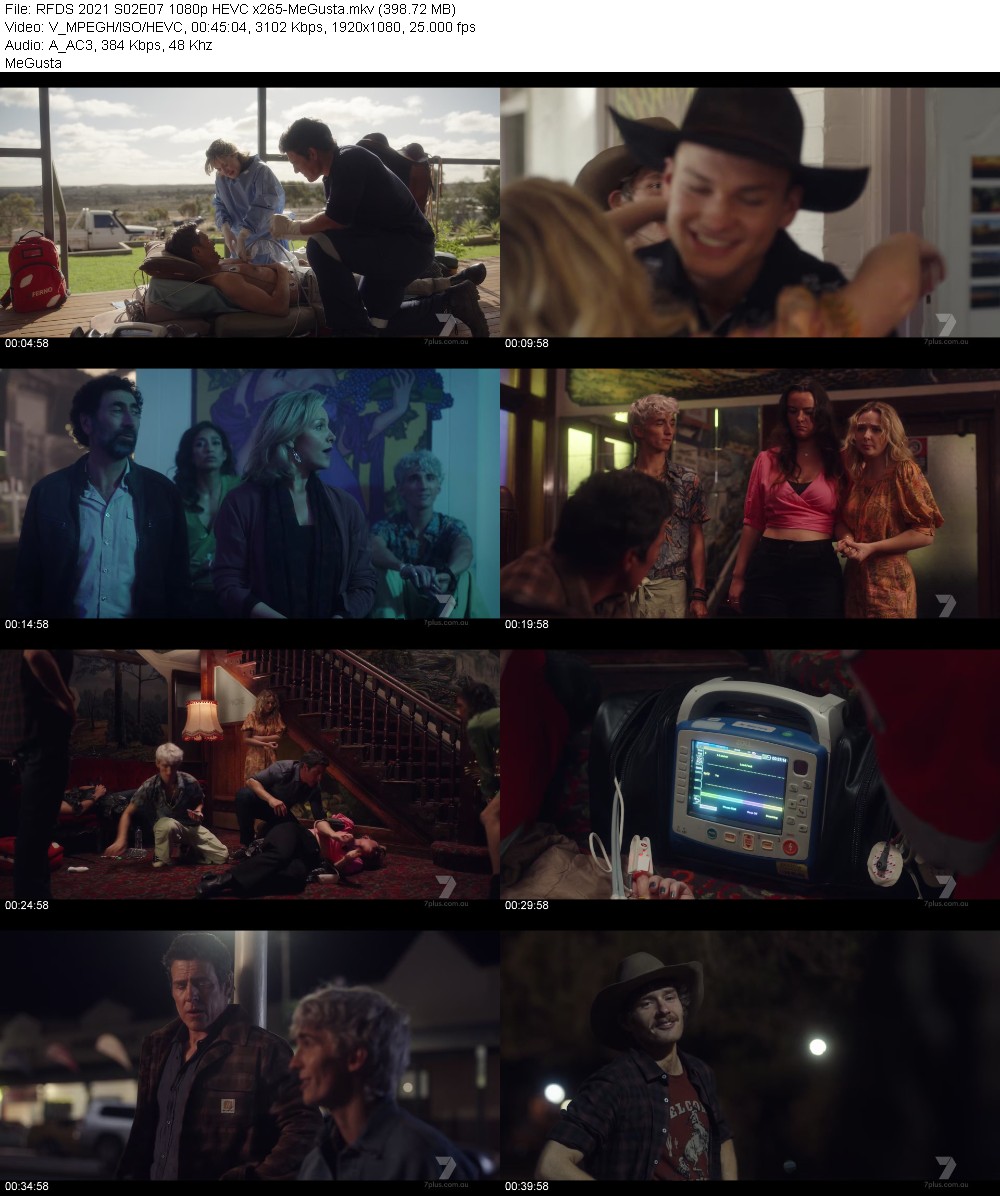 383641401_rfds-2021-s02e07-1080p-hevc-x265-megusta.jpg