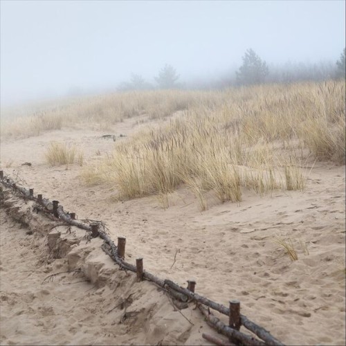 Vik-Ho-At-The-Shore-EP-16BIT-WEB-FLAC-2025-STONERD.jpg