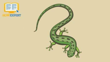 f44a5972-f20a-4dc5-8107-d621b88861f7.png