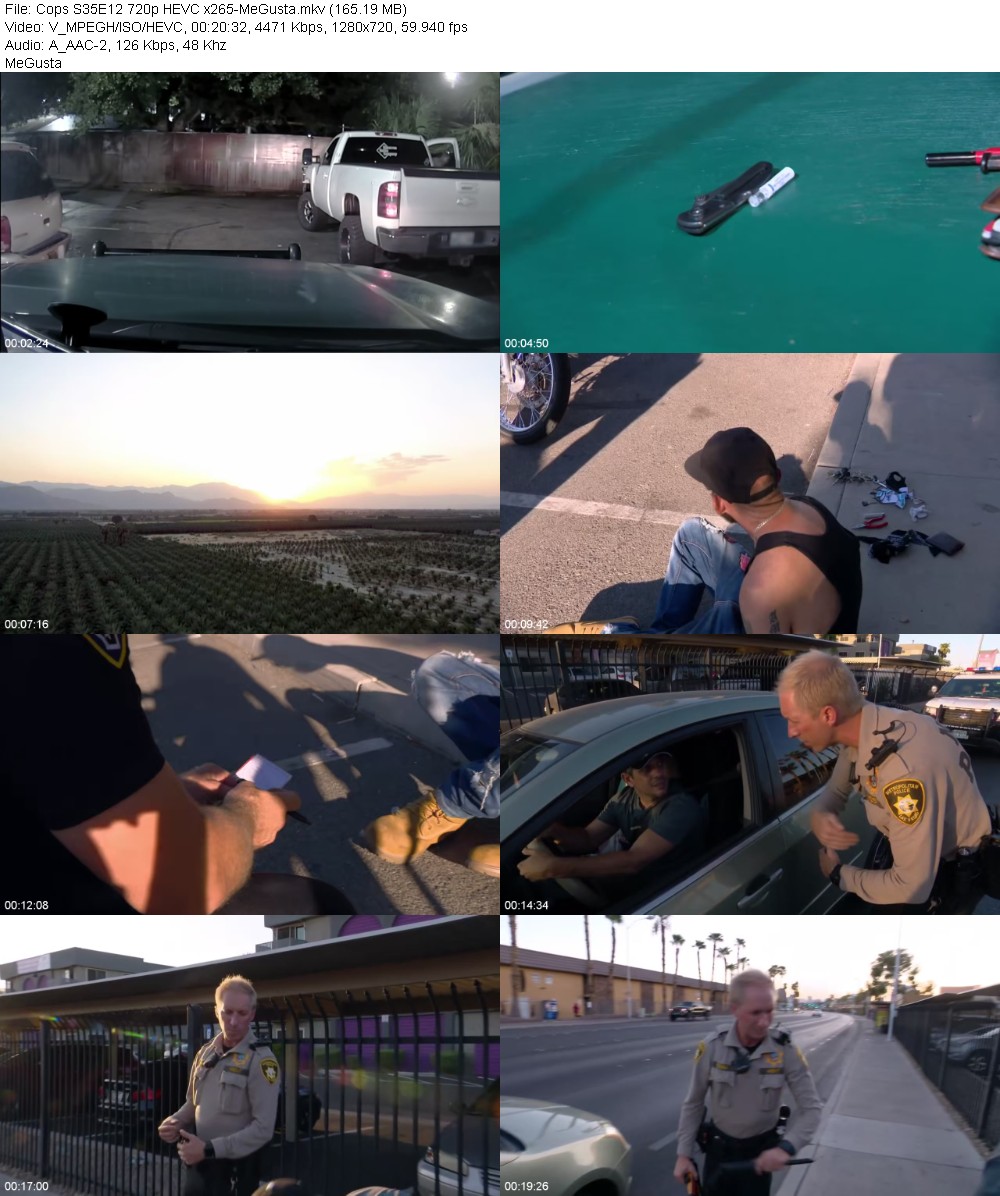 389634967_cops-s35e12-720p-hevc-x265-megusta.jpg