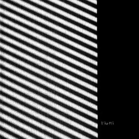 Raev-Dust-And-Motion-TRM368-16BIT-WEB-FLAC-2025-WAVED.jpg